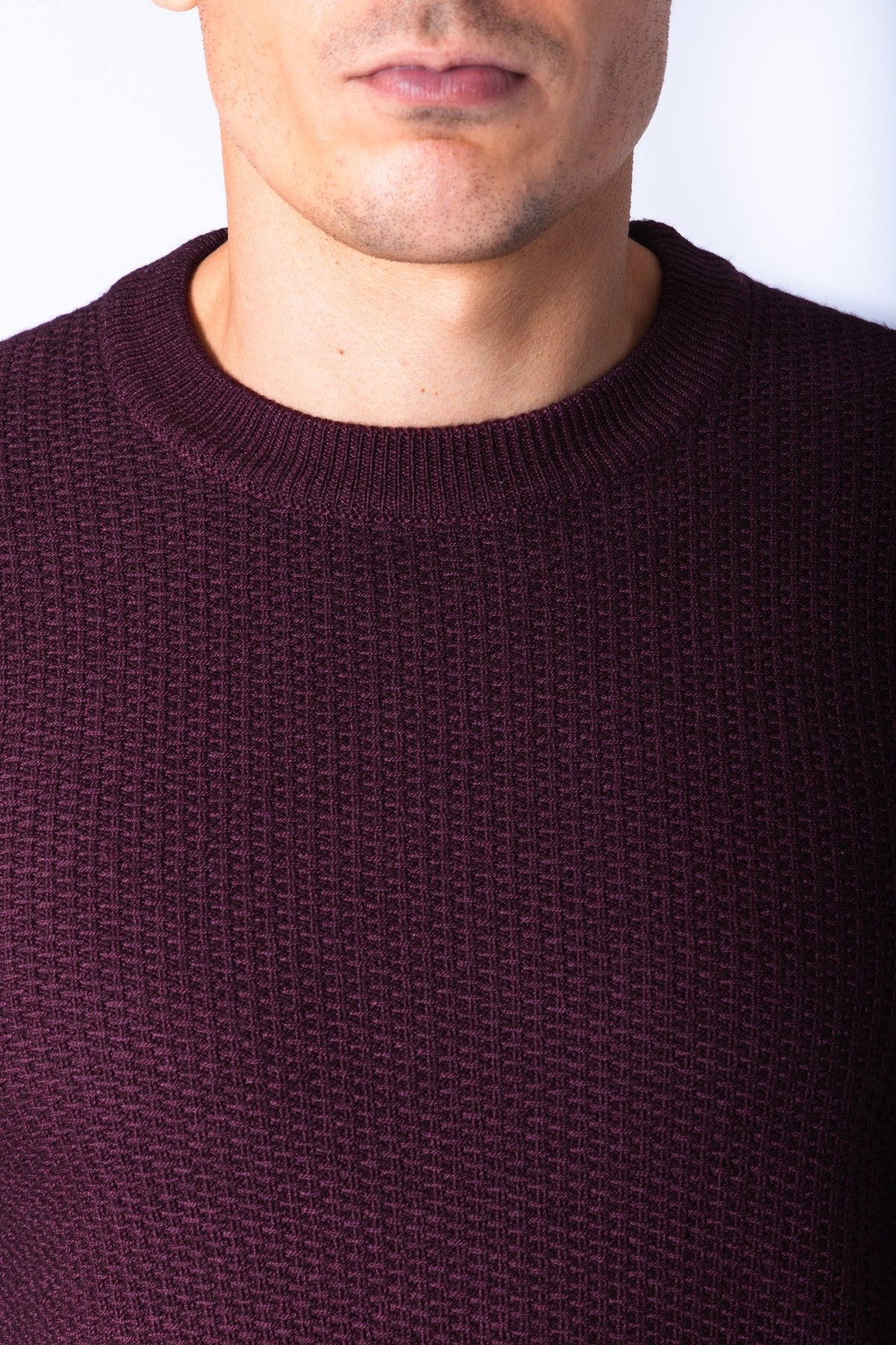 Wine Textured Knit Crew Neck Jumper